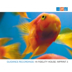 Guidance Recordings : Hi-Fidelity House:Imprint 3